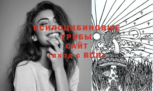 амф Абинск