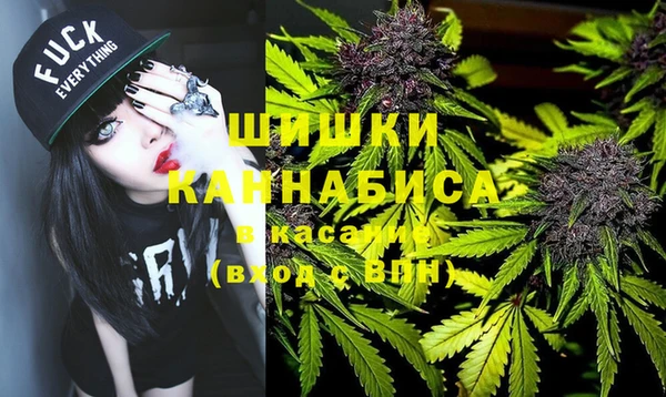 винт Алзамай