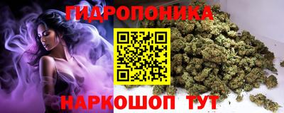 сатива Тула