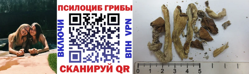 Галлюциногенные грибы Magic Shrooms Сафоново