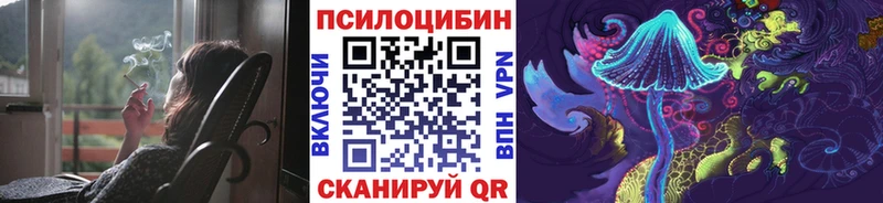 Галлюциногенные грибы Psilocybine cubensis где можно купить кракен зеркало Сафоново