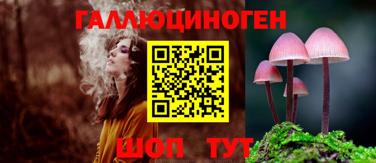 Галлюциногенные грибы Psilocybine cubensis Сафоново