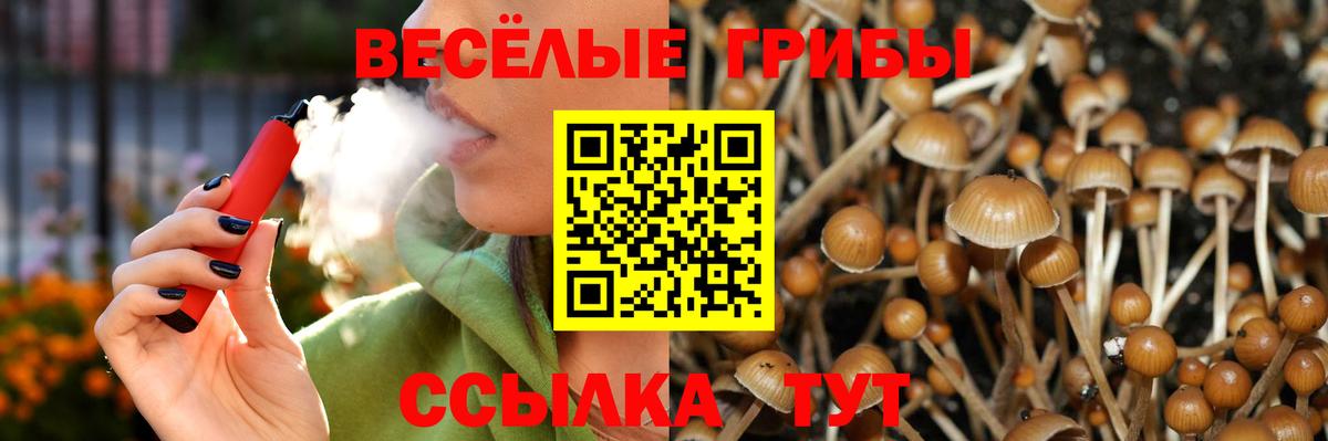 Галлюциногенные грибы ЛСД  Вход с VPN  наркошоп  Сафоново 